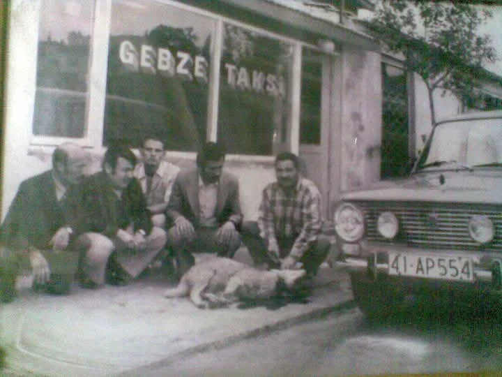 Galeri